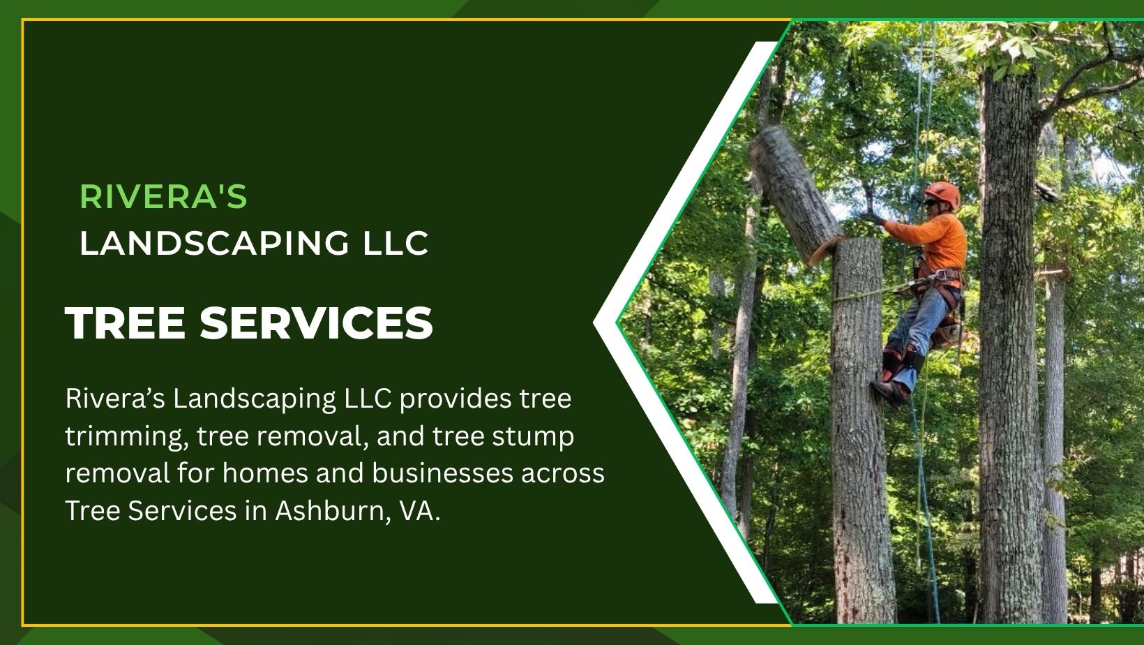 Tree Services in Ashburn